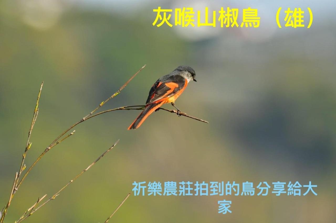 Lala Mountain Homestay‧Cile Farm Hualing Экстерьер фото