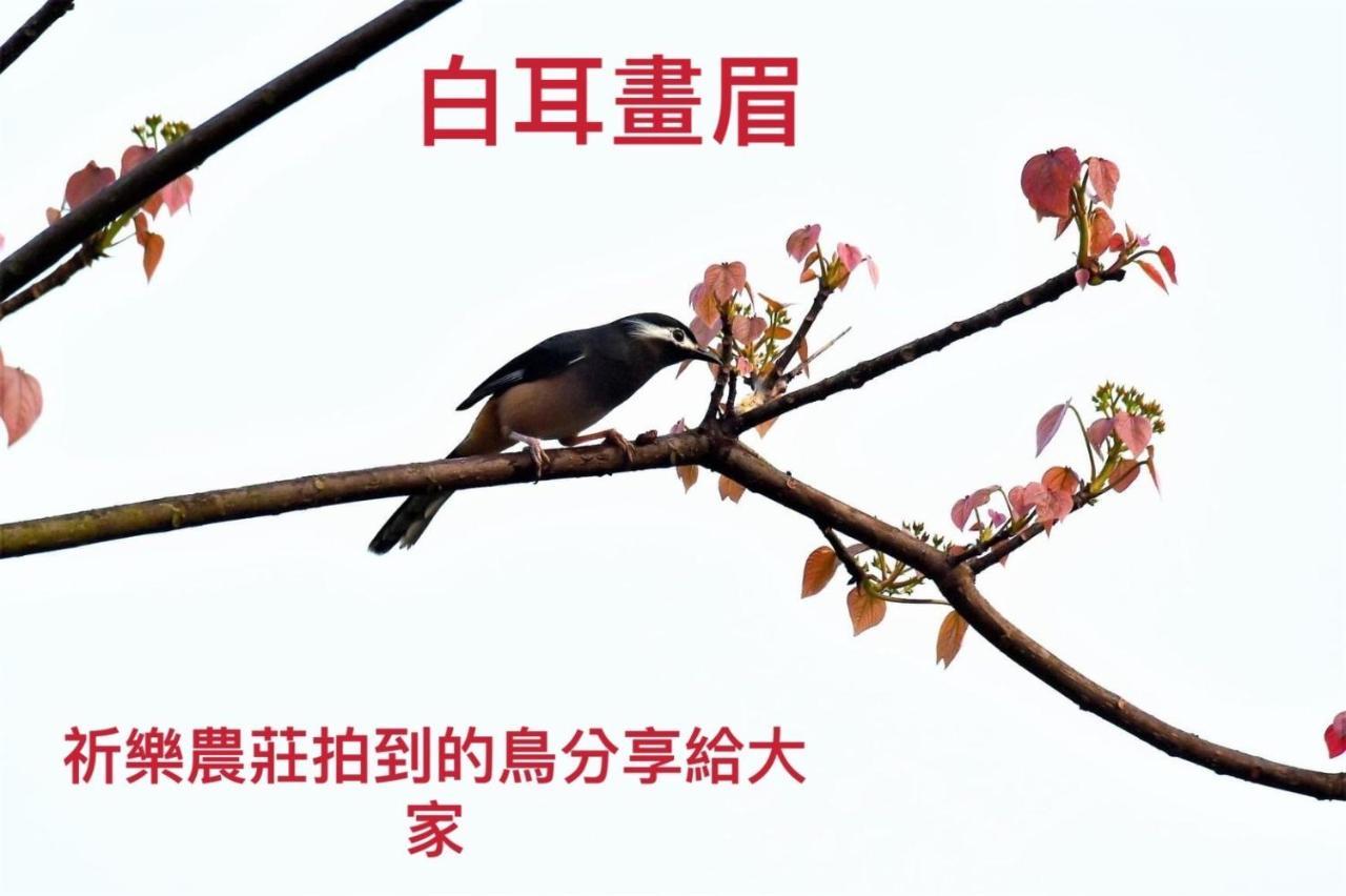 Lala Mountain Homestay‧Cile Farm Hualing Экстерьер фото