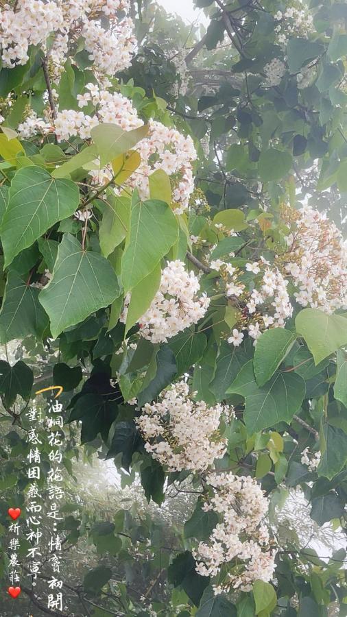 Lala Mountain Homestay‧Cile Farm Hualing Экстерьер фото